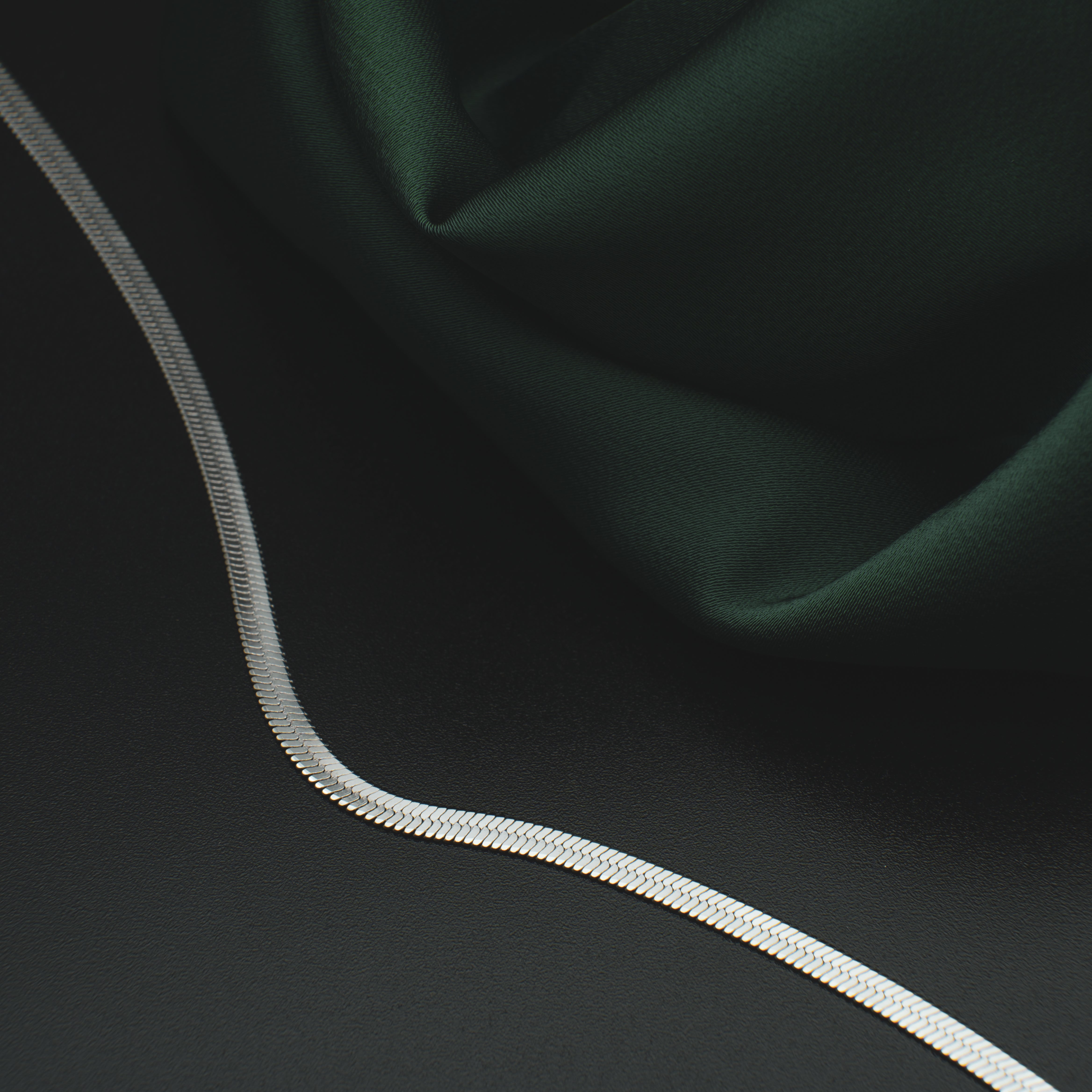 SNAKE LARGE